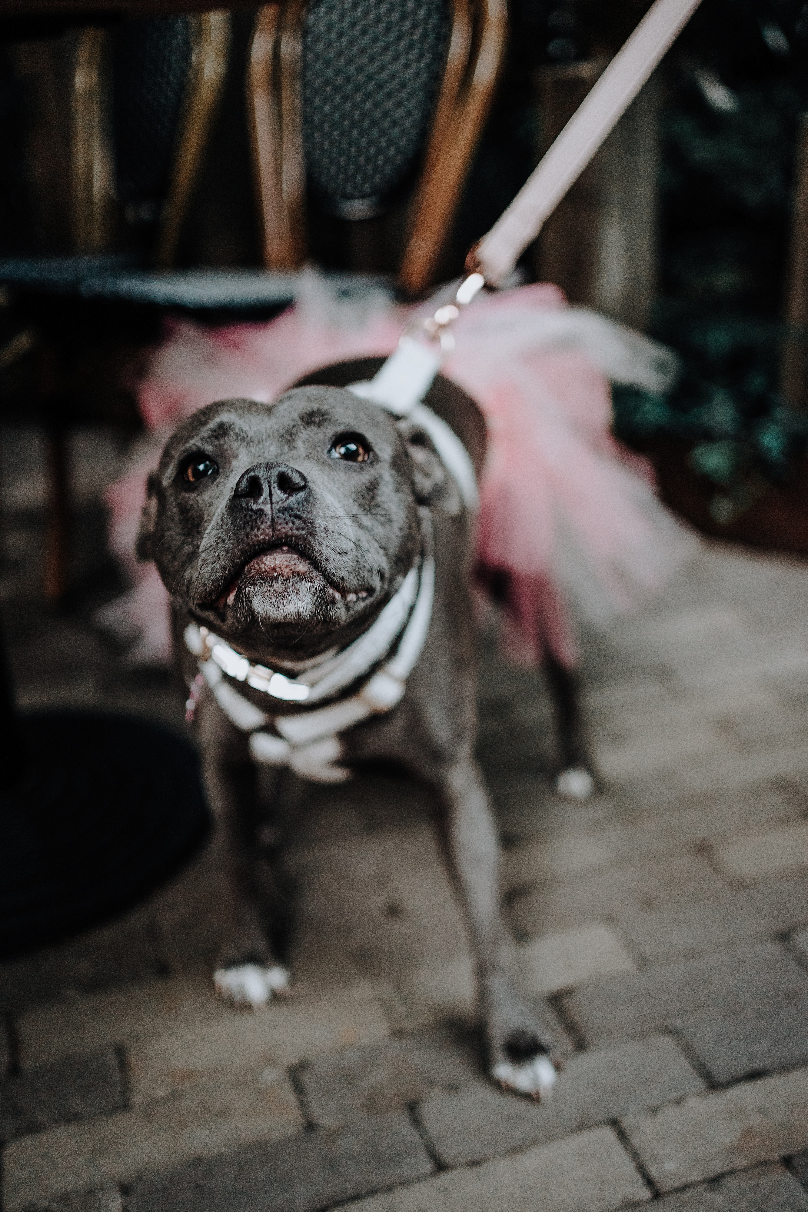 AMY-LOUISE-PHOTOGRAPHY-MANCHESTER-WEDDING-PHOTOGRAPHY-DONNA-ERIN-TOM-THE-BLACKFRIAR-SALFORD-82
