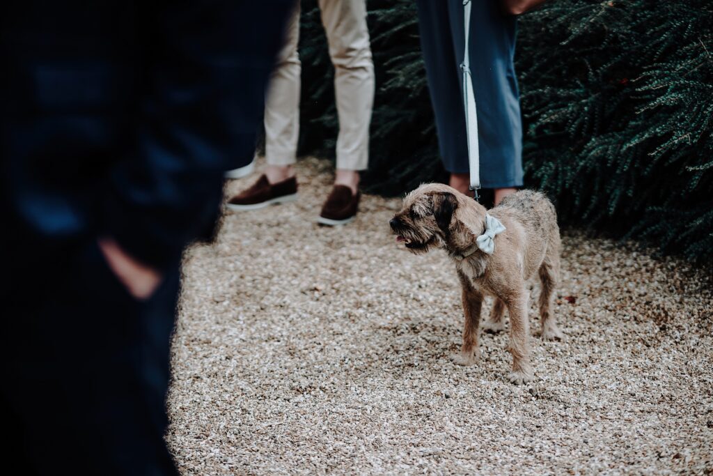 CHESHIRE-WEDDING-PHOTOGRAPHY-THE-HOLFORD-ESTATE-MEG-TOM-28