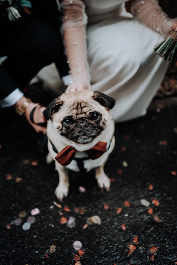 MANCHESTER-WEDDING-PHOTOGRAPHY-HELENA-ANDY-KING-ST-TOWNHOUSE-48